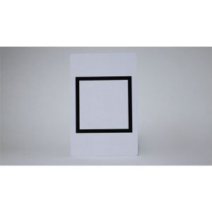 Bicycle Jumbo Gaff Card Double Face (Circle/Square)
