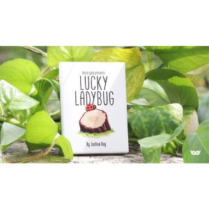 Lucky Ladybug (Log) by Joshua Ray & Deuce Gala Magic