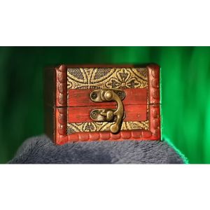 The Lucky Stone (Gimmicks and Online Instructions) by Luca Volpe and Alan Wong