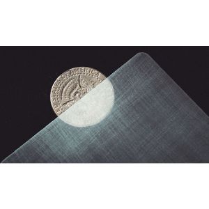 Transparent Matrix (Half Dollar) 2024 by Richard Mo