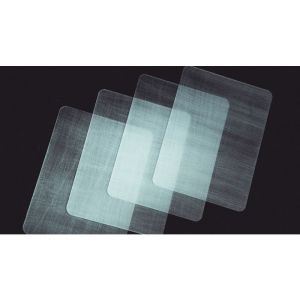 Transparent Matrix (Half Dollar) 2024 by Richard Mo