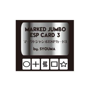 Marked Jumbo ESP Cards (Black) by Tejinaya Magic - Trick