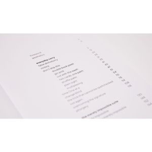 The Pages Are Blank by Michael Feldman - Book