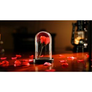 The Quantum Dome by Mai Bro & TCC Magic