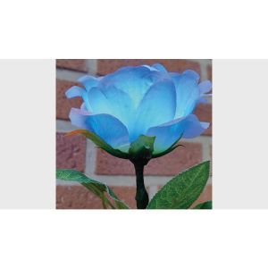 Remote Light Rose Multi-color (Charger Included) by JL Magic - Trick (VT)