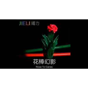 Rose to Canes by Jieli Magic - Trick