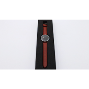 SB Watch 2 (2024) Noir Silver One