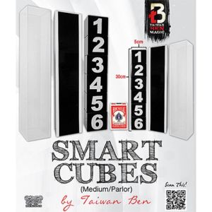 Smart Cubes (Medium / Parlor) by Taiwan Ben - Trick (VT)