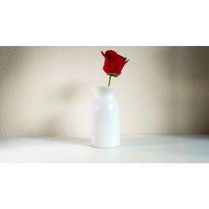 Snowflake Vase by Leon and Leno - Trick (VT)