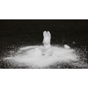 SUGAR BUNNY by Steve Fearson