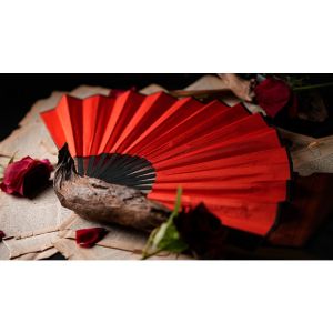 The Butterfly by K.Pen & TCC Magic