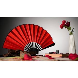 The Butterfly by K.Pen & TCC Magic