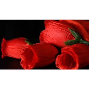 The Rose 2.0 (Red) by Bond Lee & Wenzi Magic - Trick