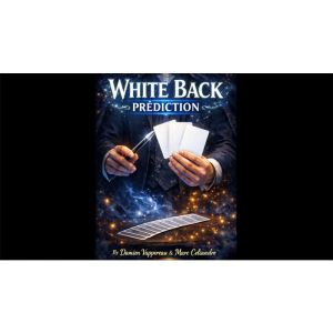White Back Prediction by Damien Vappereau and Marc Céliandre (Blue)