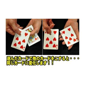 Wild Shock by Tejinaya - Trick (colors may vary) (VT)