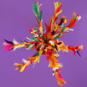 Fiorin fiorello - Ultra
