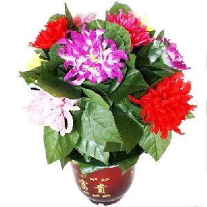 Il vaso di fiori meraviglioso by Tora Magic