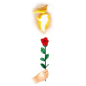 Instant Rose